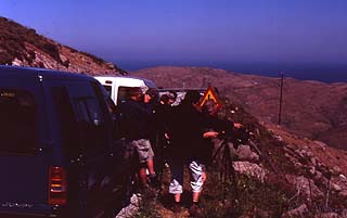 Serious- Cinereous Bunting Hunting