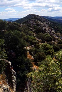 Monfrague