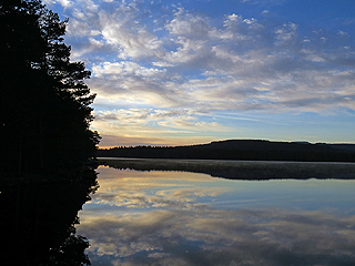 Loch Garten at dawn