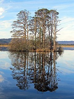 Loch Mallachie