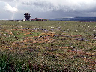 Belen Plain