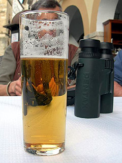 Birds n beer