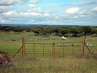 Dehesa 