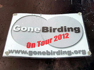 Gone Birding on tour!