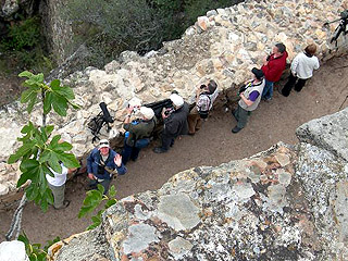 Group- Monfrague