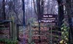 Dedicated site surveys