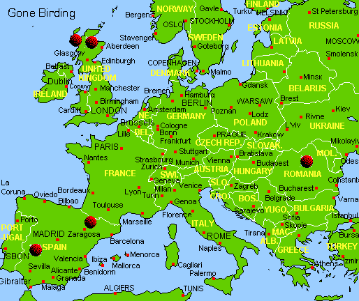 Gone Birding Destinations