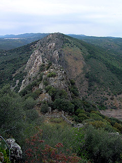 Pena Falcon
